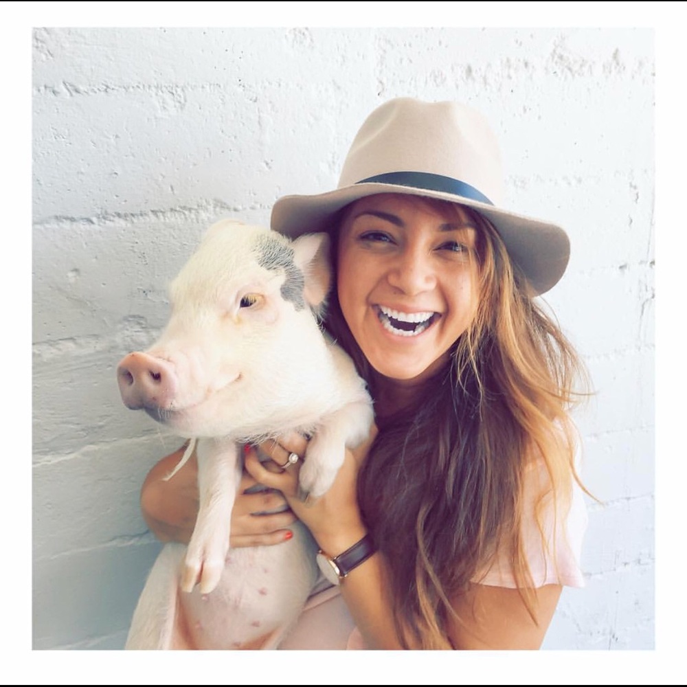 Hi! My sales benefit local pig sanctuaries🐷